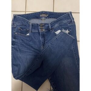Torrid Jeggings Super Soft Jeans 16R